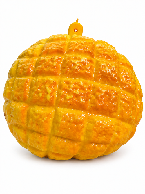 Pineapple Bun Crunchy