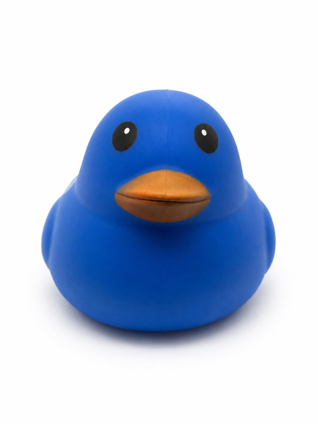 Ducks