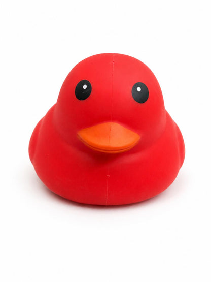 Ducks