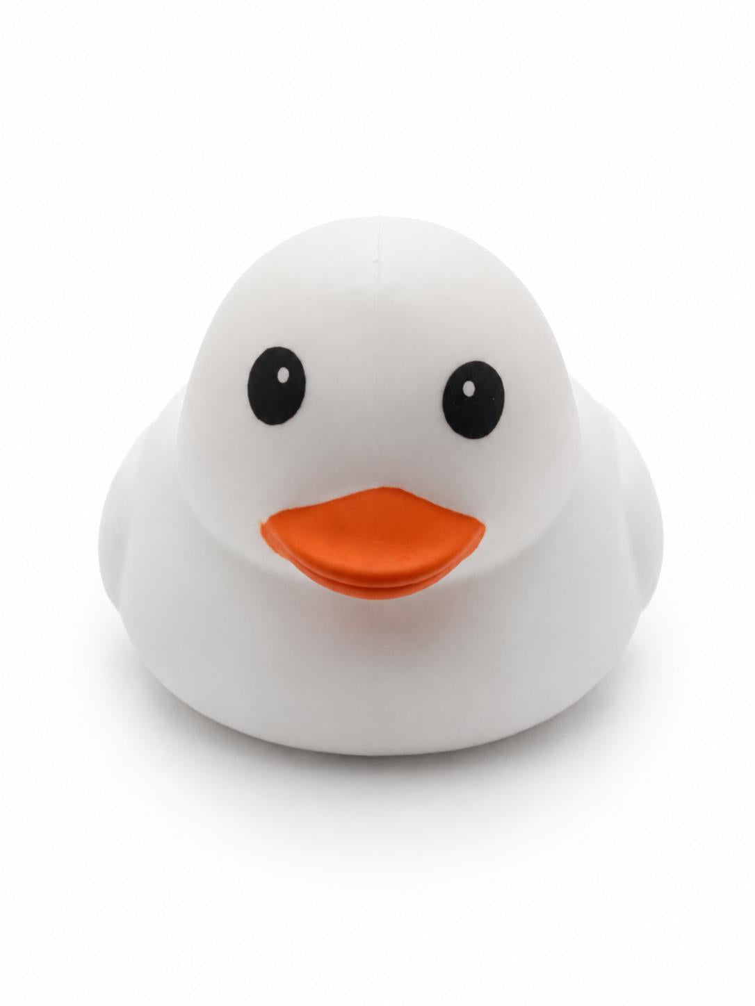 Ducks