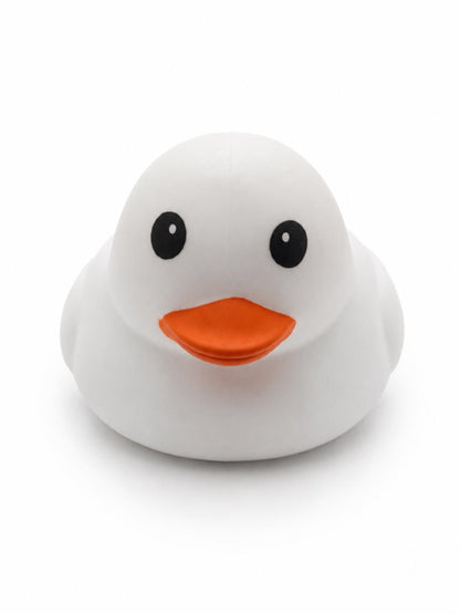 Ducks